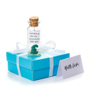 Anniversary Present for Her & Him Valentines Day Romantic Gift to Boyfriend Girlfriend Message I Love You Gifts Wife Husband (Snake   I Sssssstill Love You In Teal Gift Box)