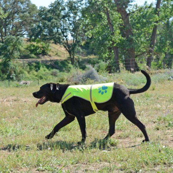 Dog Reflective Vest Sizes to Fit Dogs 14 lbs to 130 lbs    Hi Vis Safety Vest Keeps Dogs Visible On and Off Leash in Both Urban and Rural Environments X Large Neon Yellow - Image 4