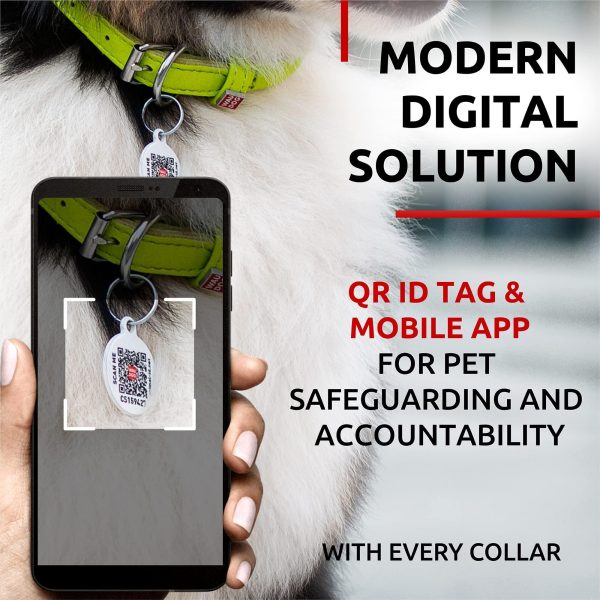 WAUDOG Ultra Soft Rolled Leather Dog Collar for Small Dogs   Soft Padded Dog Collars for Medium Dogs   Puppy Collars for Large Breed Dogs   Male and Female Dog Collar - Image 3