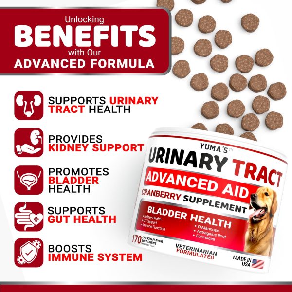 Dog UTI Treatment   170 Treats   Cranberry Supplement for Dogs   Bladder Control for Dogs   Dog Urinary Tract Infection Treatment   UTI Medicine for Dogs Multivitamin   Dog Vitamins and Supplements - Image 2