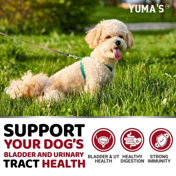 Dog UTI Treatment   170 Treats   Cranberry Supplement for Dogs   Bladder Control for Dogs   Dog Urinary Tract Infection Treatment   UTI Medicine for Dogs Multivitamin   Dog Vitamins and Supplements - Image 4