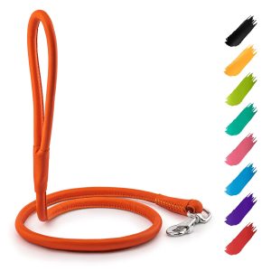 Rolled Leather Dog Leash 4Ft * 0.4 in for Small Medium and Large Dogs   Heavy Duty Leather Puppy Leash for Outdoor Walking Running Training   Strong Dog Leashes for Large Breed Dogs (Orange)