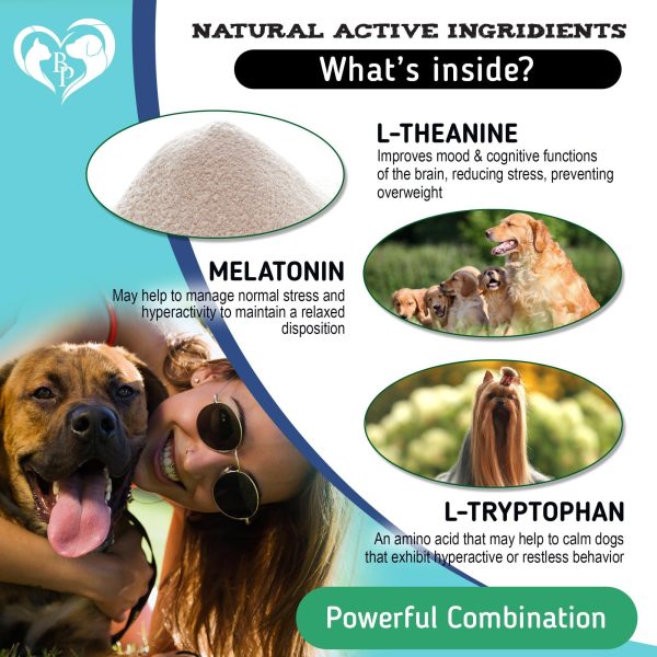 Hemp Calming Chews for Dogs & Puppy Pet Separation Anxiety Relief Treats & Calm Aggressive Behavior   Melatonin Anti Stress Treatment Help with Thunder Sleep Aid   Made in USA (Bacon (For Dogs)) - Image 3