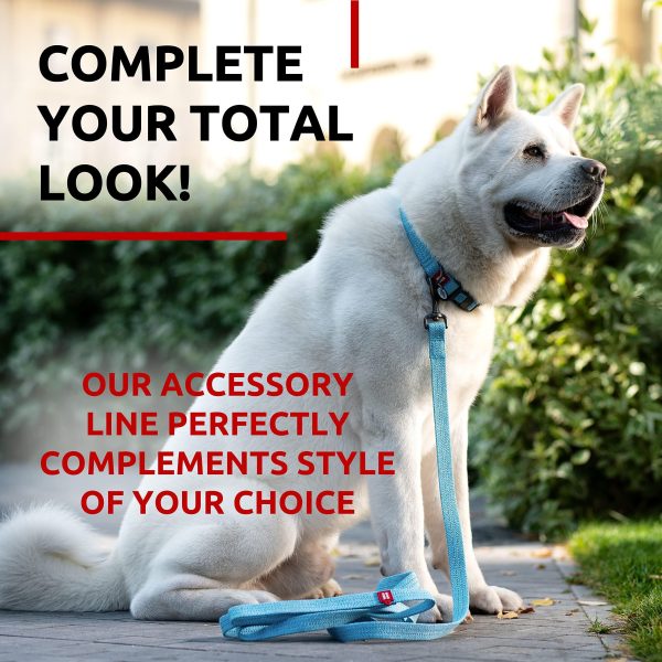 Recycled Cotton Dog Leash 6 Ft   10 Ft Eco Friendly Collar for Small Medium & Large Dogs   Reflective Dog Leash for Medium Dogs   Strong Leashes for Large Breed Dogs Puppy Leash for Small Dogs - Image 6