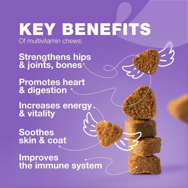 Dog Vitamins 15 in 1   Dog Multivitamin Chews with MSM for Hip & Joint Health   Dog Supplement for Itchy Skin Relief   Multivitamin for Dogs Immune Support with Enzymes   Skin & Coat Mobility Support - Image 2