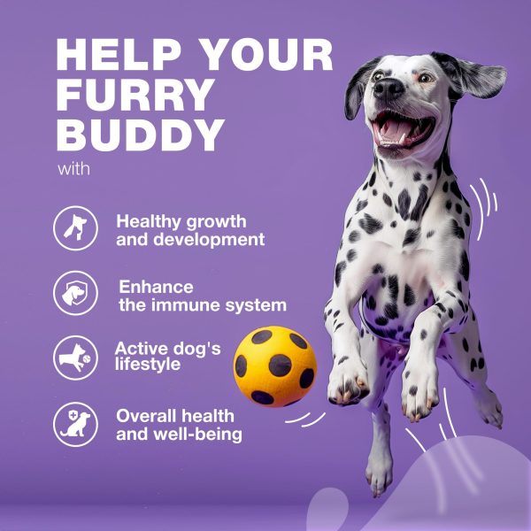 Dog Vitamins 15 in 1   Dog Multivitamin Chews with MSM for Hip & Joint Health   Dog Supplement for Itchy Skin Relief   Multivitamin for Dogs Immune Support with Enzymes   Skin & Coat Mobility Support - Image 3
