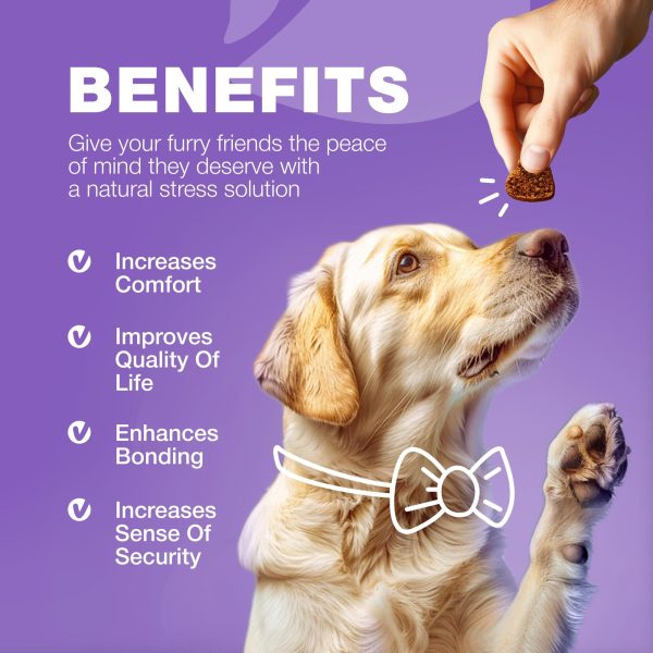 Dog Vitamins 15 in 1   Dog Multivitamin Chews with MSM for Hip & Joint Health   Dog Supplement for Itchy Skin Relief   Multivitamin for Dogs Immune Support with Enzymes   Skin & Coat Mobility Support - Image 7