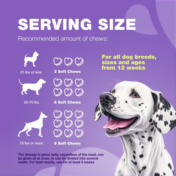 Dog Vitamins 15 in 1   Dog Multivitamin Chews with MSM for Hip & Joint Health   Dog Supplement for Itchy Skin Relief   Multivitamin for Dogs Immune Support with Enzymes   Skin & Coat Mobility Support - Image 8
