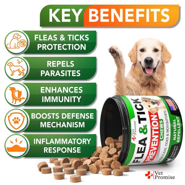 Flea and Tick Prevention for Dogs Chewables   All Natural Dog Flea & Tick Control   Flea and Tick Chews for Dogs   Oral Flea Pills for Dogs Supplement   All Breeds and Ages   Made in USA   120 Tablets - Image 2