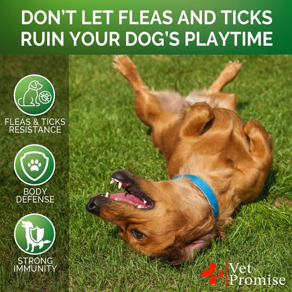Flea and Tick Prevention for Dogs Chewables   All Natural Dog Flea & Tick Control   Flea and Tick Chews for Dogs   Oral Flea Pills for Dogs Supplement   All Breeds and Ages   Made in USA   120 Tablets - Image 4