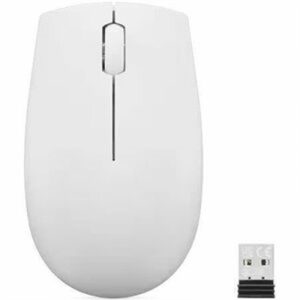 300 Wrls Cmpct Mouse CGry