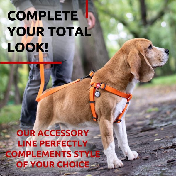 Waterproof Dog Leash 4 Ft   6 Ft   Anti Slip Dog Leash for Large Dogs Small and Medium Dogs   Heavy Duty Dog Leash with Water and Dirt Resistant   Long Or Short Dog Leashes for Boy & Girl Dogs - Image 6