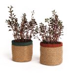 Jute Planter Basket Woven Jute Rope Covers for Decorating Indoor Outdoor Succulents Small Plant Pots Set of 2 Multi Purpose Storage Bins 4.5 in   Modern Style Décor   Red Green & Natural