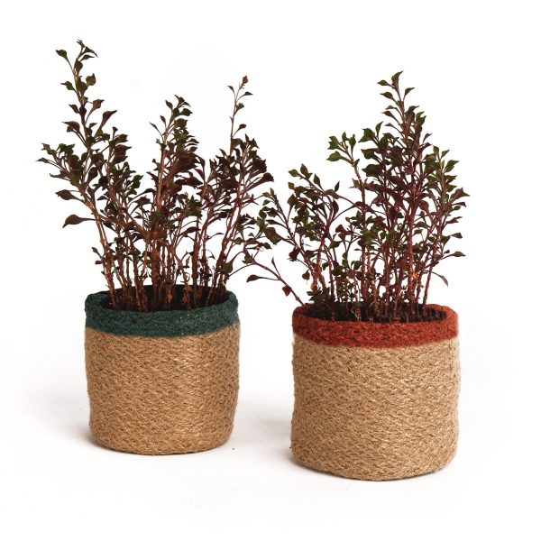 Jute Planter Basket Woven Jute Rope Covers for Decorating Indoor Outdoor Succulents Small Plant Pots Set of 2 Multi Purpose Storage Bins 4.5 in   Modern Style Décor   Red Green & Natural