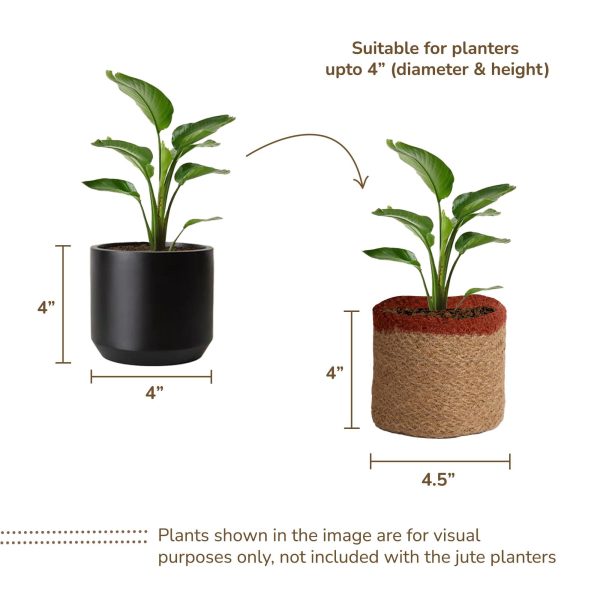 Jute Planter Basket Woven Jute Rope Covers for Decorating Indoor Outdoor Succulents Small Plant Pots Set of 2 Multi Purpose Storage Bins 4.5 in   Modern Style Décor   Red Green & Natural - Image 3