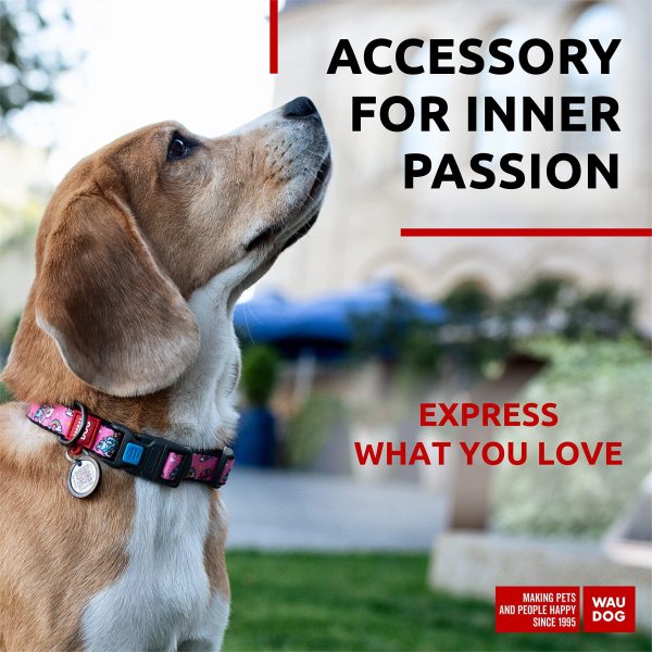 Nylon Dog Collar   Adjustable Dog Collar for Large Dogs Small & Medium Dogs   Breakaway Puppy Collars for Large Breed Dogs   Boy & Girl Dog Collars with Durable Plastic Buckle and QR Dog Tag - Image 2
