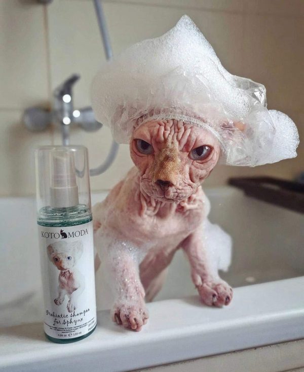 Sphynx cat Shampoo for Naked and Hairless Cats 120 ml with Foam Pump - Image 3