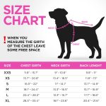 Dog Winter Coat UNI   Lightweight Reversible Warm Dog Jacket   Water Resistant Windproof Jacket   Dog Coats for Medium Dogs Small & Large Dogs Vest XS