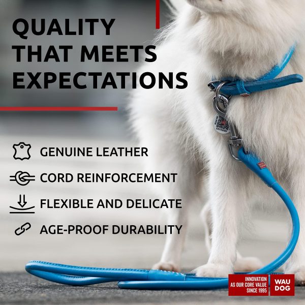 WAUDOG Rolled Leather Dog Leash 4Ft * 0.3 in for Small Medium and Large Dogs   Heavy Duty Leather Puppy Leash for Outdoor Walking Running Training   Strong Dog Leashes for Large Breed Dogs (Blue) - Image 3