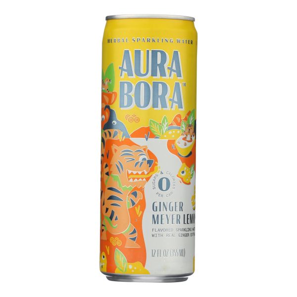 Aura Bora - Sparkling Water Ginger Mey Lemon - Case of 12-12 FZ - Image 2