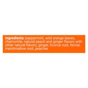 Bigelow Tea Tea - Ginger Peach Stedy Stomach - Case of 6 - 18 BAG