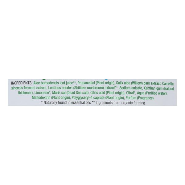Earth Kiss - Sheet Msk Shtk Prfyng - Case of 12-1 Count