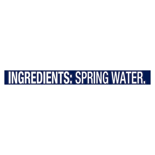 Ice Mountain 100% Natural Spring Water  - Case of 2 - 2.5 GAL - Image 3