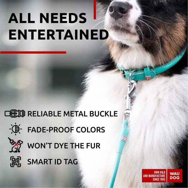 WAUDOG Ultra Soft Rolled Leather Dog Collar for Small Dogs   Soft Padded Dog Collars for Medium Dogs   Puppy Collars for Large Breed Dogs   Male and Female Dog Collar - Image 5