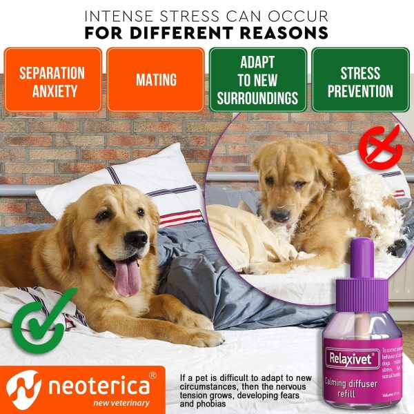 Beloved Pets Dog Calming Pheromone Diffuser Refill 2 Pack | Improved in Germany DE Stress Formula | Anti Anxiety Treatment for Cats | Reduce Spraying Scratching Fighting - Image 2