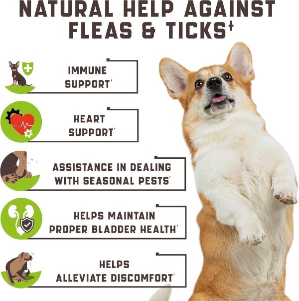 Flea and Tick Prevention Chewable for Dogs - No Collars, No Mess - Easy Help with Flea and Tick for Dogs - American Quality - for All Breeds and Ages - Duck-Flavored Treats - 180 Flea Chews for Dogs - Image 7