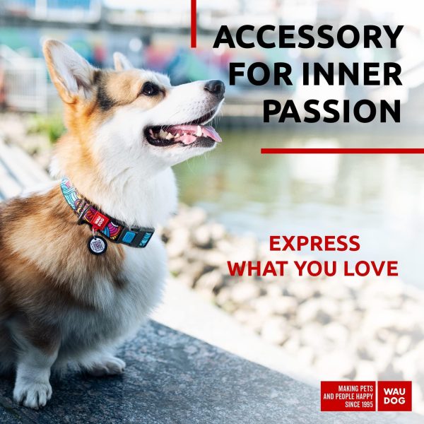 Nylon Dog Collar   Adjustable Dog Collar for Large Dogs Small & Medium Dogs   Breakaway Puppy Collars for Large Breed Dogs   Boy & Girl Dog Collars with Durable Plastic Buckle and QR Dog Tag - Image 2