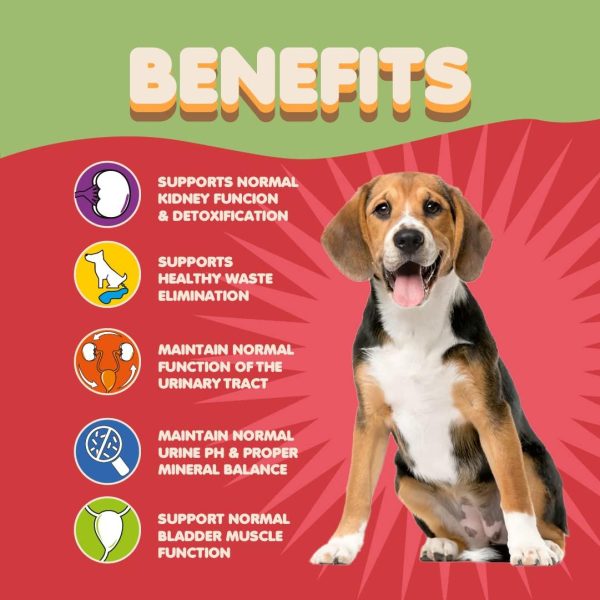 Dog Cranberry Supplement   Natural Dog UTI Treatment & Kidney Support for Dogs. Dog Supplement Powder Same as Cranberry Pills for Dogs. Puppy Supplies for Dog Pee Health   Dog Incontinence Product - Image 3