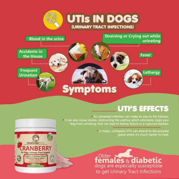 Dog Cranberry Supplement   Natural Dog UTI Treatment & Kidney Support for Dogs. Dog Supplement Powder Same as Cranberry Pills for Dogs. Puppy Supplies for Dog Pee Health   Dog Incontinence Product - Image 6