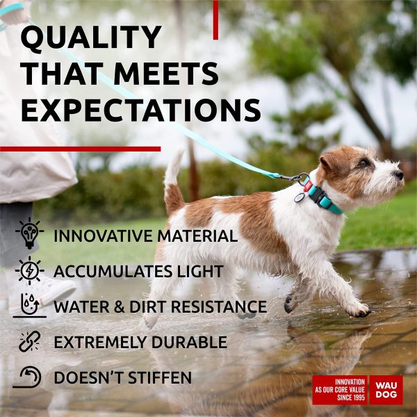 Waterproof Dog Collar   Adjustable Glow Dog Collar for Large Dogs Small and Medium Dogs   Heavy Duty Dog Collars with Durable Metal Clasp and QR Dog Tag   Glow in The Dark Dog Collars - Image 3