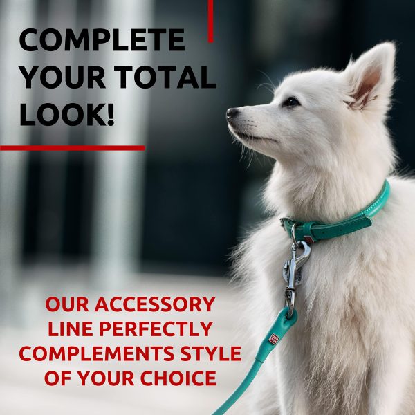 WAUDOG Rolled Leather Dog Leash 4Ft * 0.3 in for Small Medium and Large Dogs   Heavy Duty Leather Puppy Leash for Outdoor Walking Running Training   Strong Dog Leashes for Large Breed Dogs (Mint) - Image 5