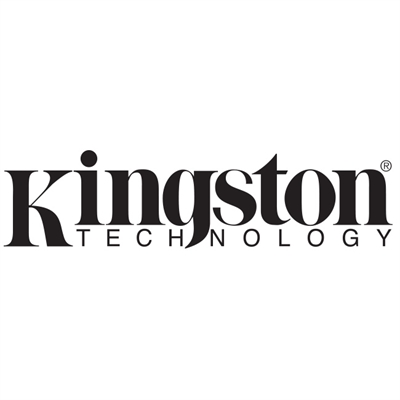 Kingston SD Card