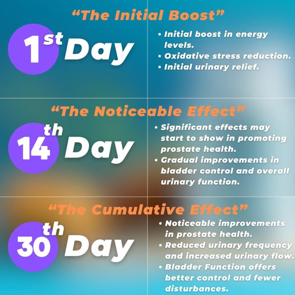 Prostate Support Supplement Formula with Saw Palmetto Extract and Bladder Control Complex   30 Day Supply - Image 7