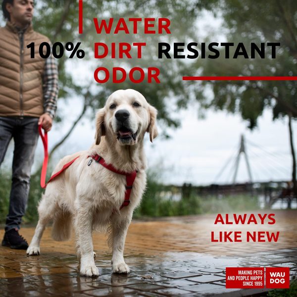 Waterproof Dog Harness   Adjustable Dog Harness for Large Dogs Small and Medium Dogs   Heavy Duty Dog Harness with Durable Metal Clasp and QR Dog Tag   Boy & Girl Dog Harness   Red (24 35in) - Image 2