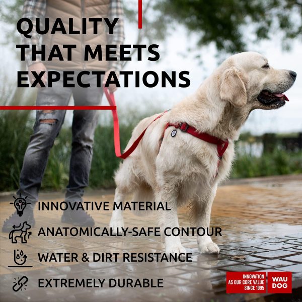 Waterproof Dog Harness   Adjustable Dog Harness for Large Dogs Small and Medium Dogs   Heavy Duty Dog Harness with Durable Metal Clasp and QR Dog Tag   Boy & Girl Dog Harness   Red (24 35in) - Image 4