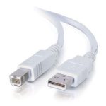 10' USB A B Cable White