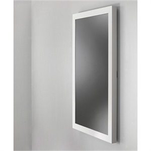 50"PORT ON WALL KIOSK W G