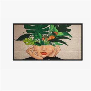 75" TAA Disp Non Android OS