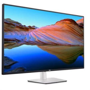 43" UltraSharp Monitor