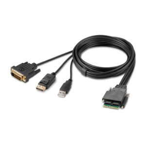 DVI and DP Dual Head Host Cbl