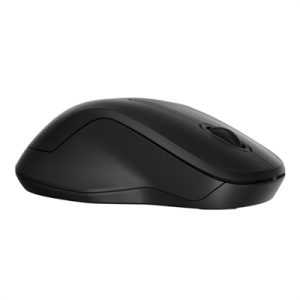 HP 255 Dual Wireless Mouse