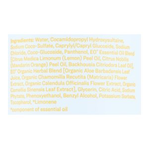 Everyone - Hand Soap - Meyer Lemon and Mandarin - 12.75 oz