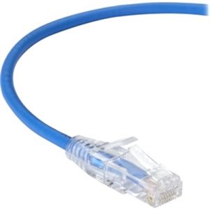 CAT6 250 UTP PVC SG BL 5'
