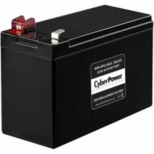 APCRBC110 CP Battery