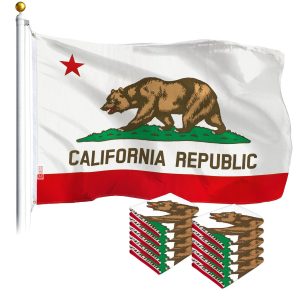 California CA State Flag 3x5 Ft 10-Pack Printed Polyester By G128