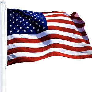 American USA Flag | 8x12 Ft | StormFlyer Series Embroidered 220GSM Spun Polyester | Country Flag Embroidered Stars Sewn Stripes Indoor Outdoor Brass Grommets Heavy Duty All Weather